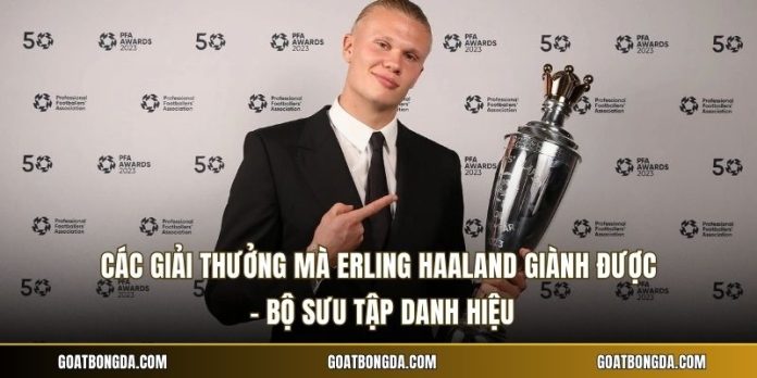 Các Giải Thưởng Mà Erling Haaland Giành Được - Bộ Sưu Tập Danh Hiệu
