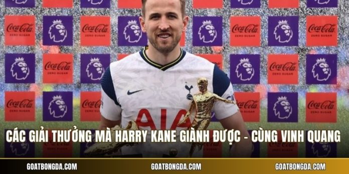 Các Giải Thưởng Mà Harry Kane Giành Được - Cùng Vinh Quang