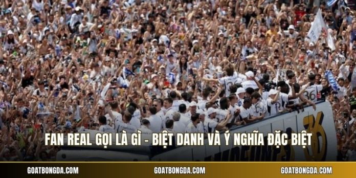 Fan Real Gọi Là Gì - Biệt Danh Và Ý Nghĩa Đặc Biệt