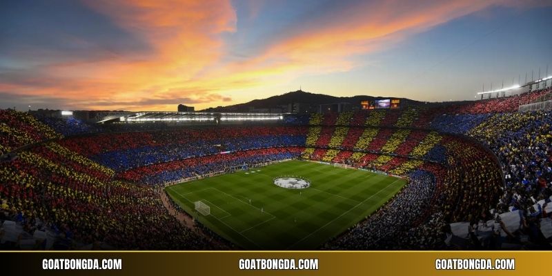Khái niệm tifo là gì trong bóng đá hiện đại